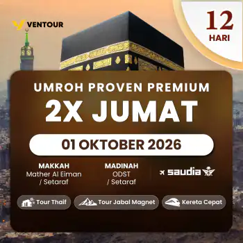 Proven Premium 12d Sv 2x Jumat
